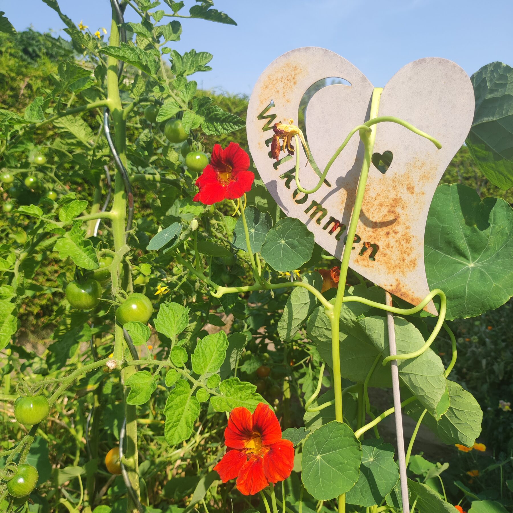 Läßt du dich auf Neues ein ?