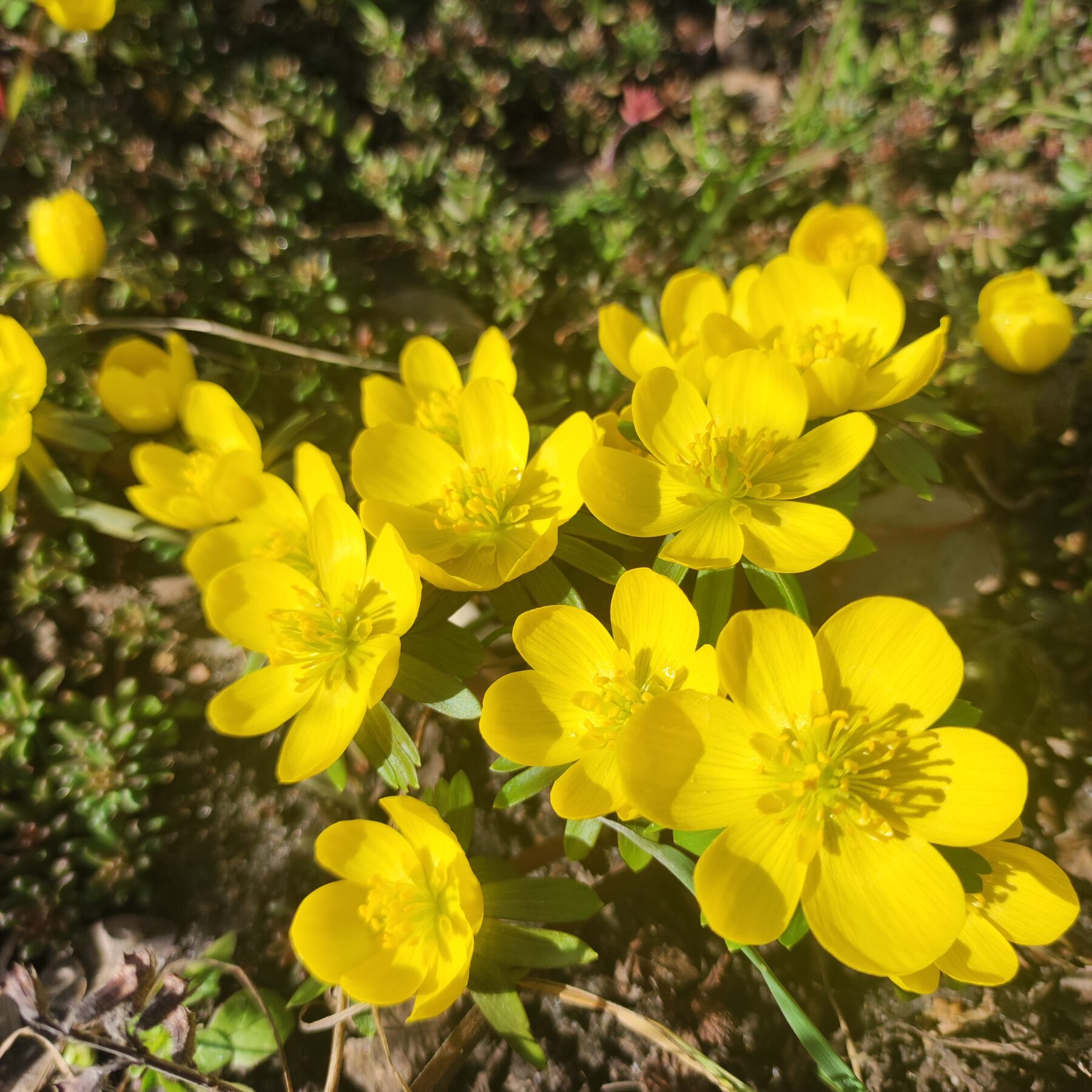 Heute ist ein wunderschöner Tag
