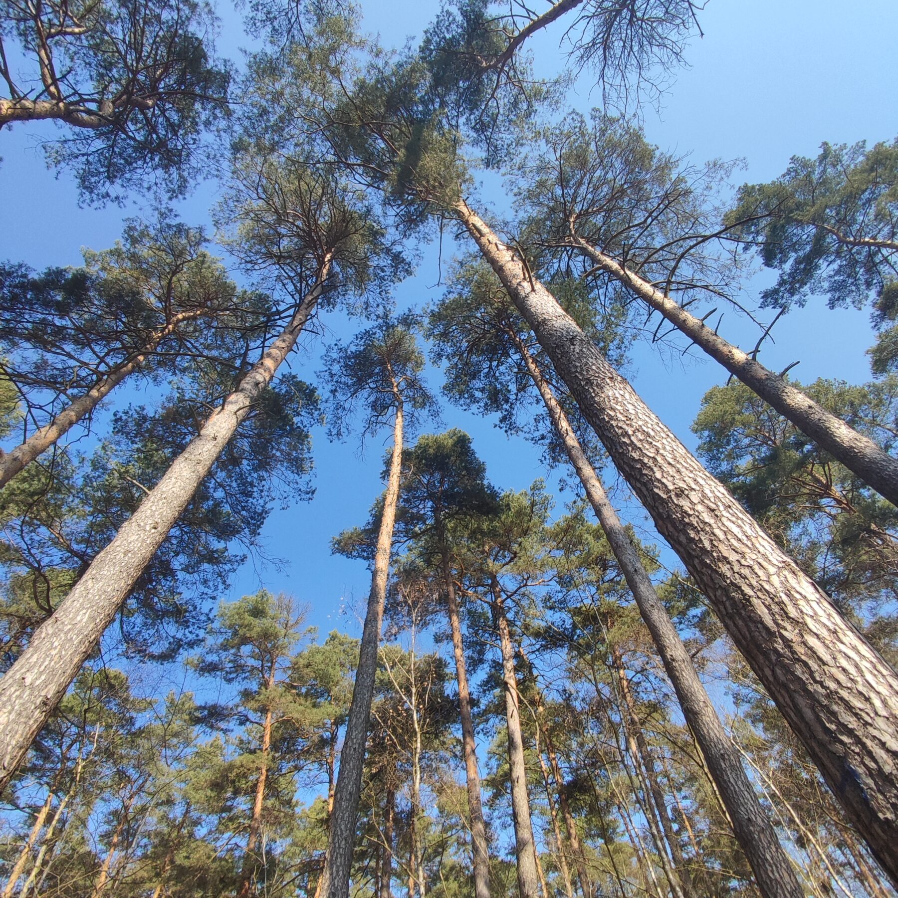 Kannst du über deinen Schatten springen?